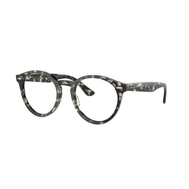 Ray-Ban LARRY RX7680V 8117