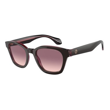 Giorgio Armani AR8207 60888D