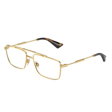 Dolce & Gabbana DG1354 02