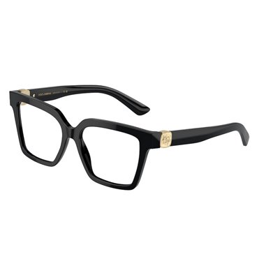 Dolce & Gabbana DG3395 501