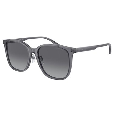 Emporio Armani EA4206D 5029T3