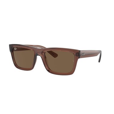 Ray-Ban WARREN RB4396 667873